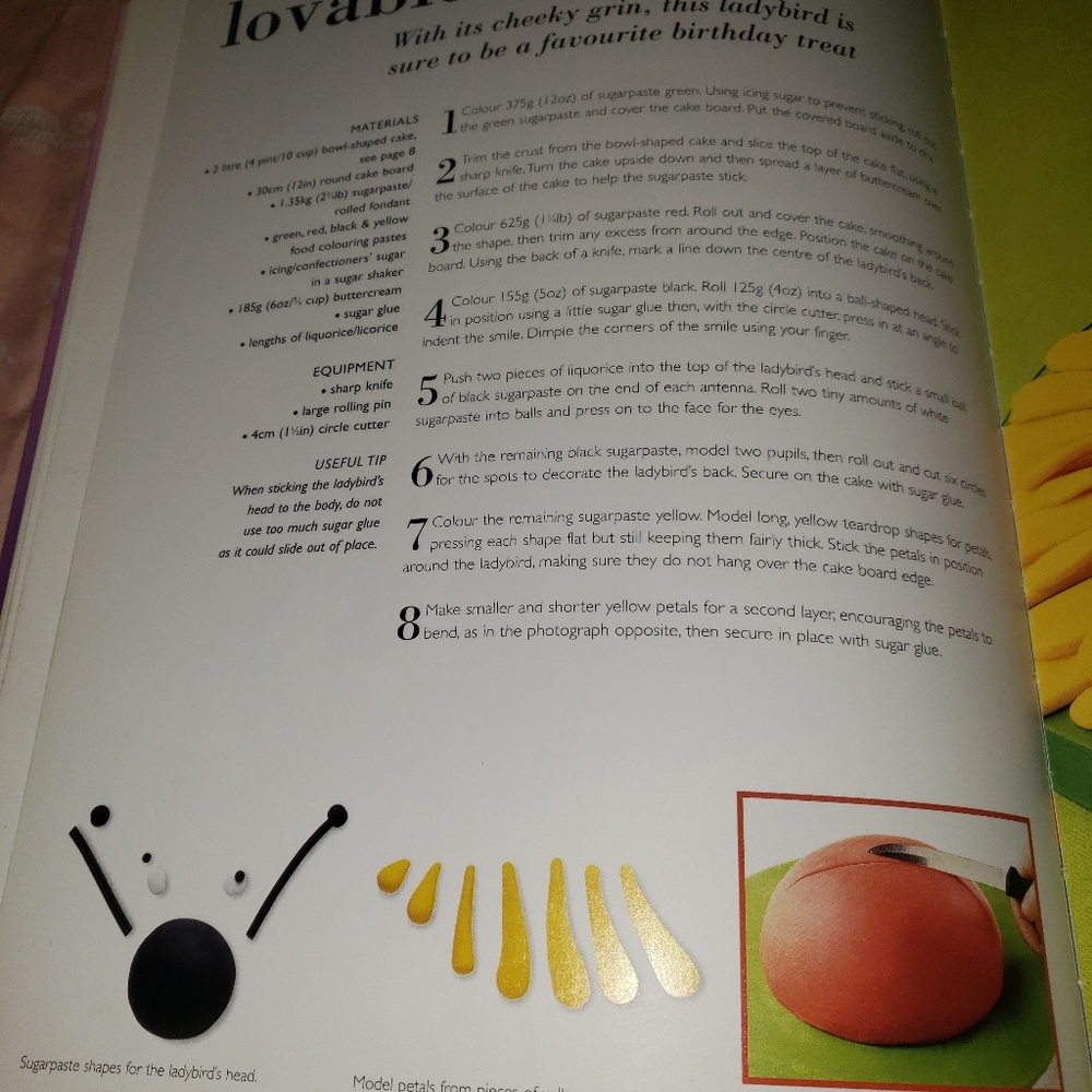 50 Easy Cakes by Debbie Brown Great ideas Cookbook cake decoration - Picture 5 of 9